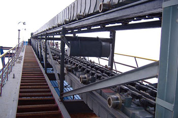 Trough Conveyor